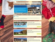 Webentwicklung Altai-Gruppenagent.de